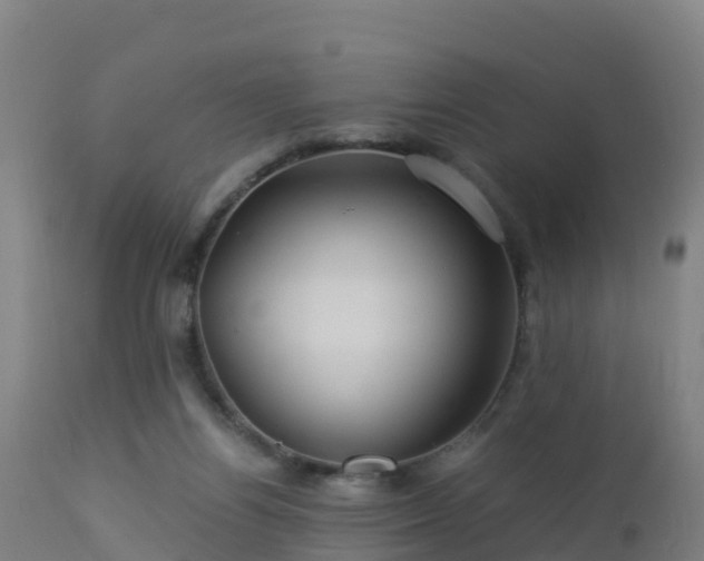 X0000112900164200908281734