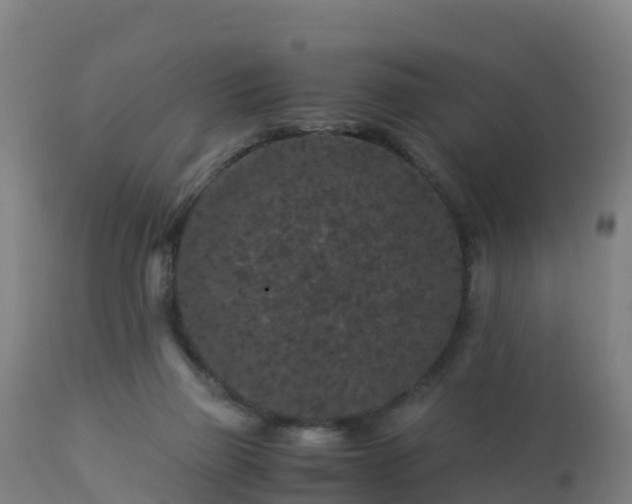 X0000112900165200908281734