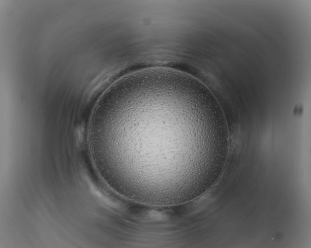 X0000112900166200908281734