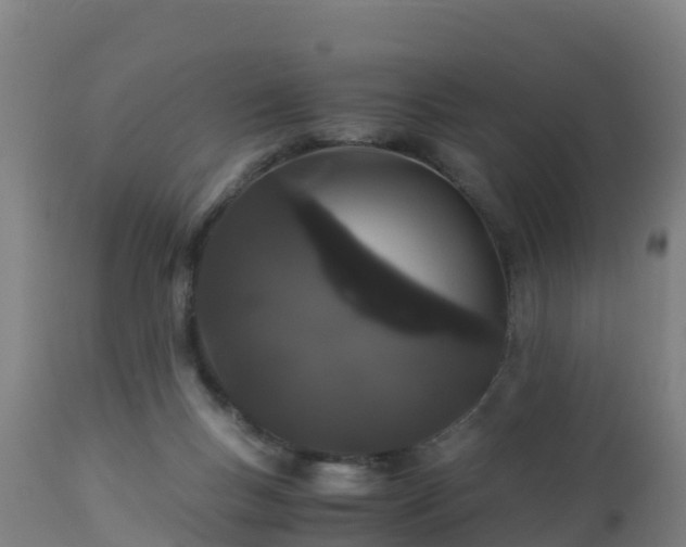 X0000112900167200908281734