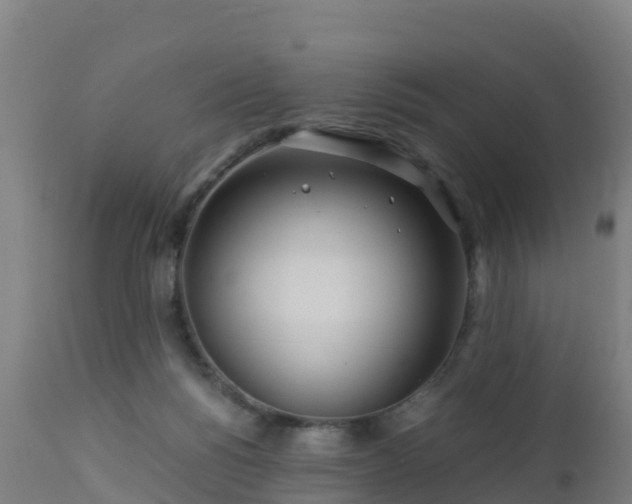 X0000112900168200908281734