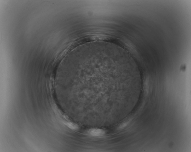 X0000112900169200908281734