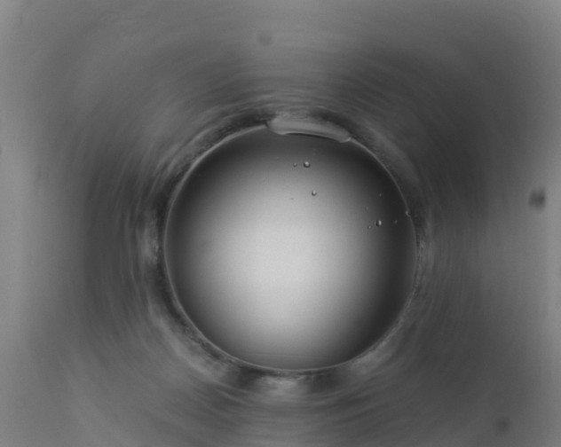 X0000112900170200908281734