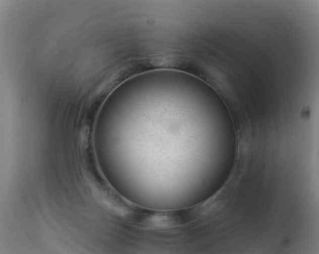 X0000112900171200908281734