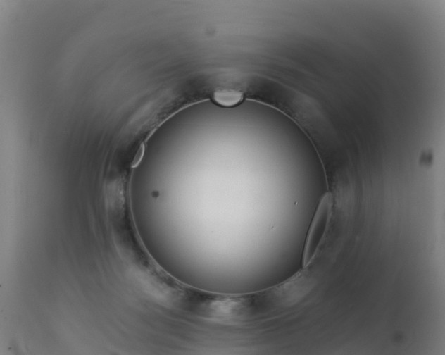 X0000112900172200908281734