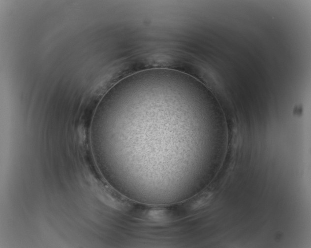 X0000112900173200908281734