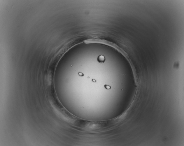 X0000112900174200908281734