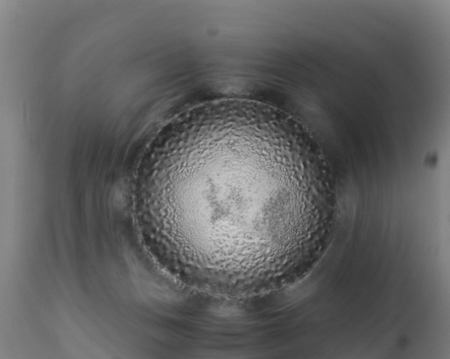 X0000112900175200908281734