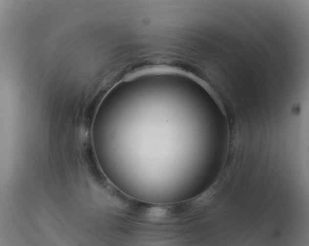 X0000112900176200908281734