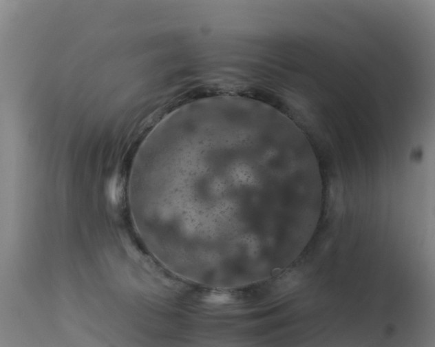 X0000112900177200908281734