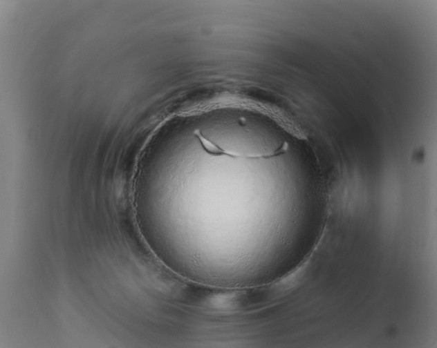 X0000112900178200908281734