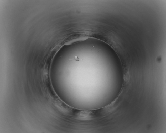 X0000112900179200908281734