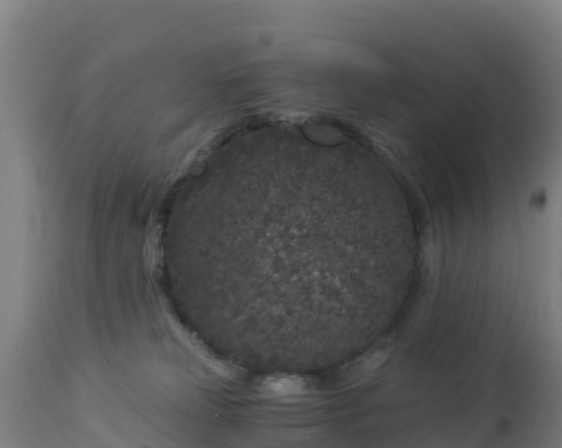 X0000112900181200908281734