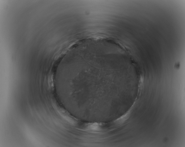 X0000112900182200908281734