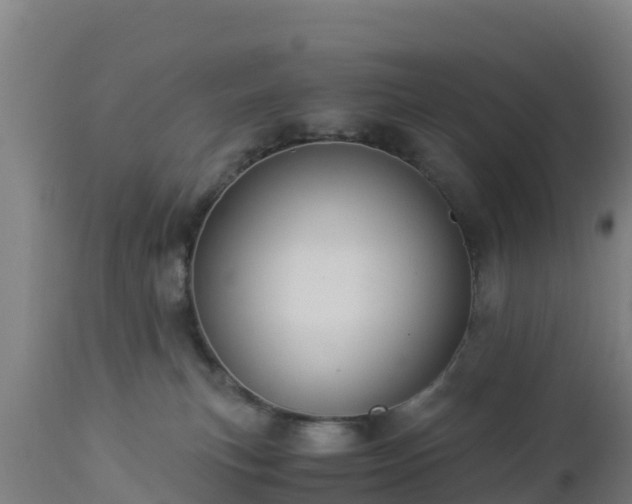 X0000112900183200908281734