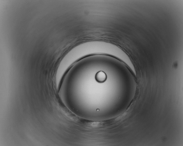 X0000112900184200908281734