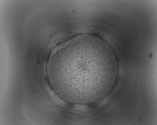 X0000112900185200908281735