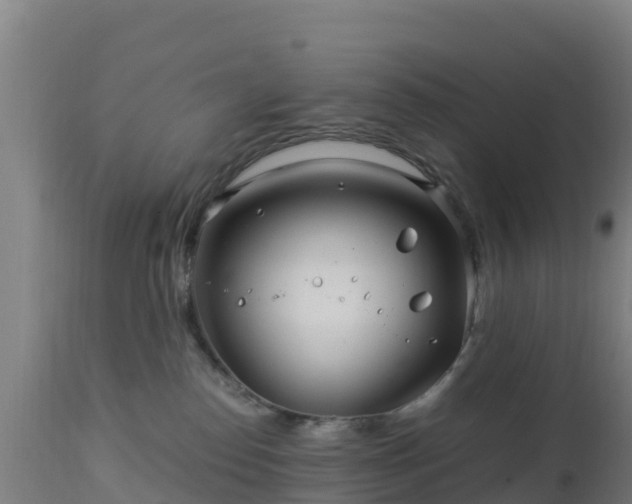 X0000112900186200908281735