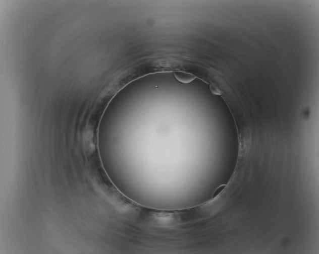 X0000112900187200908281735