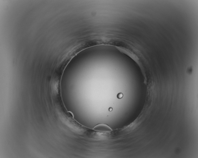 X0000112900188200908281735