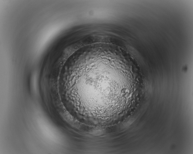 X0000112900189200908281735