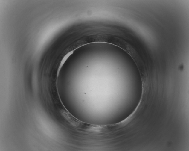 X0000112900190200908281735