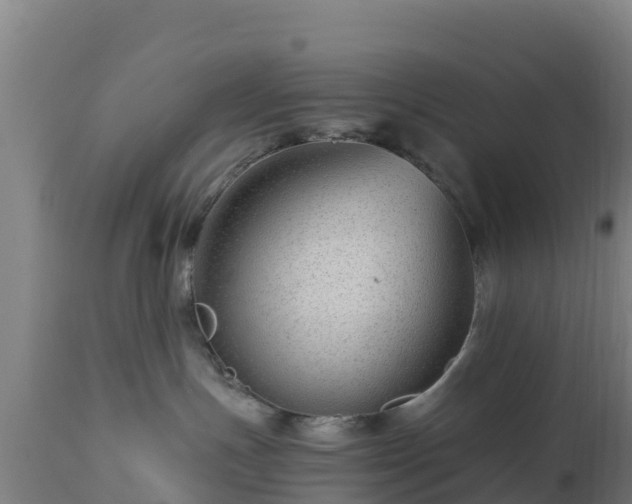 X0000112900191200908281735