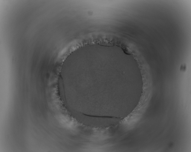 X0000112900192200908281735