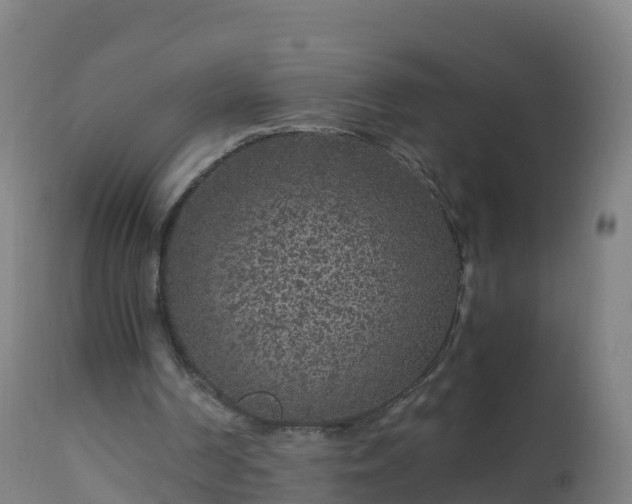 X0000112900194200908281734