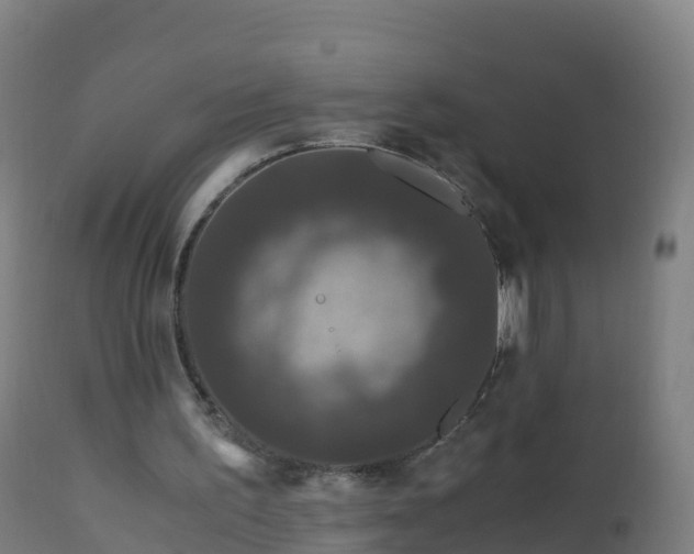 X0000112900195200908281734