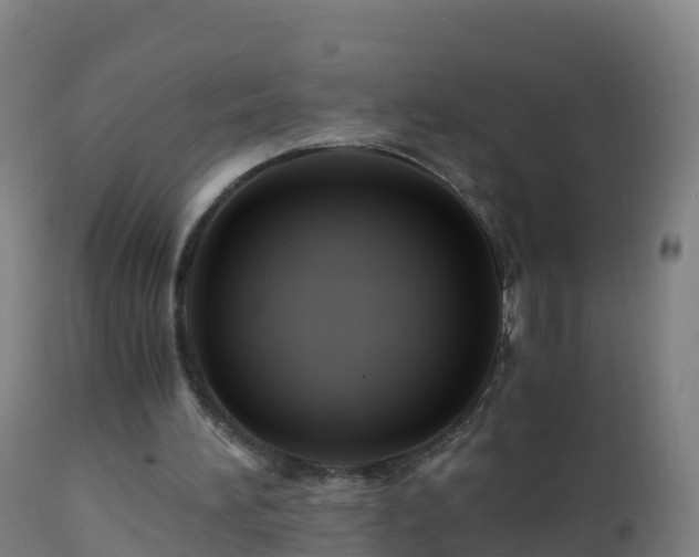 X0000112900196200908281734