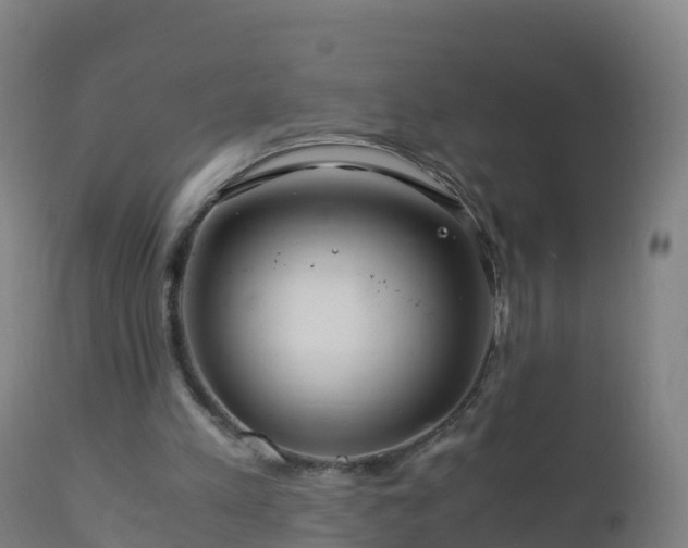 X0000112900197200908281734