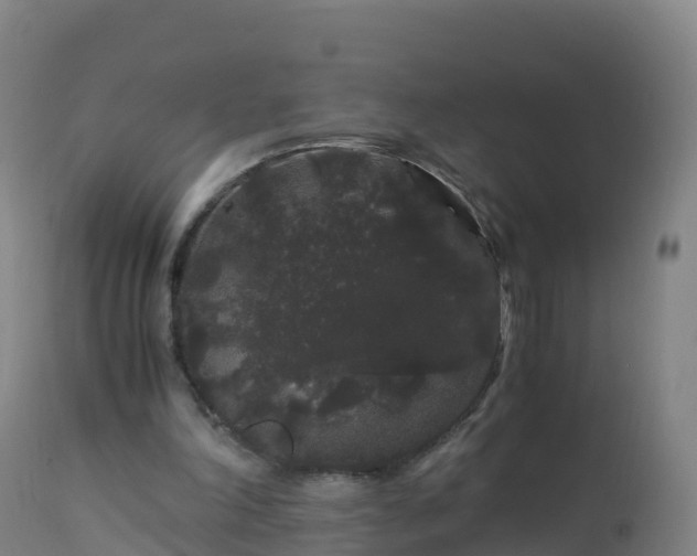 X0000112900198200908281734