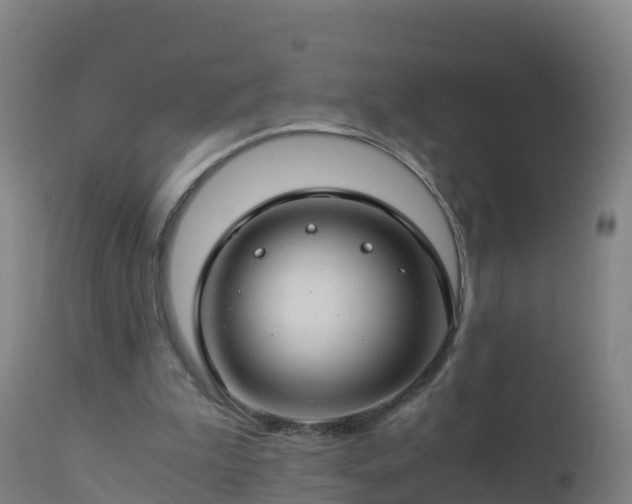 X0000112900199200908281734