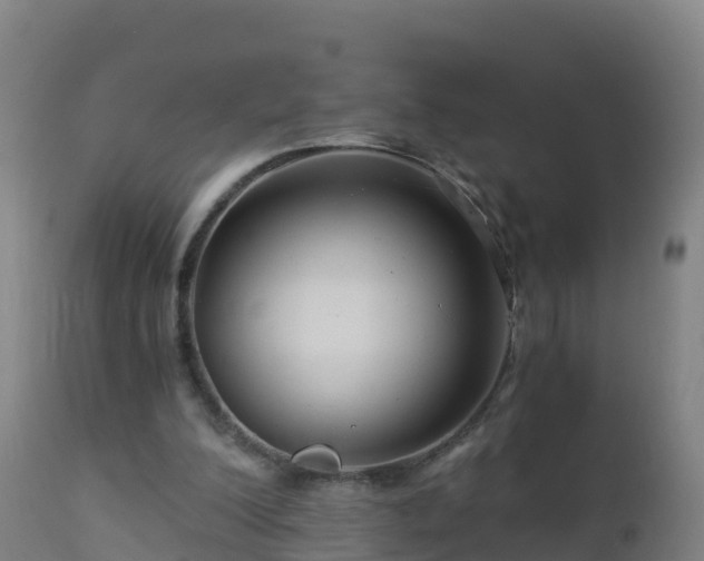 X0000112900200200908281734