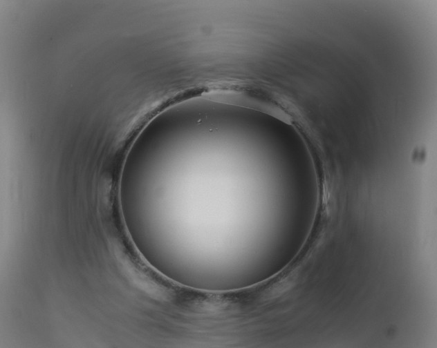 X0000112900201200908281734