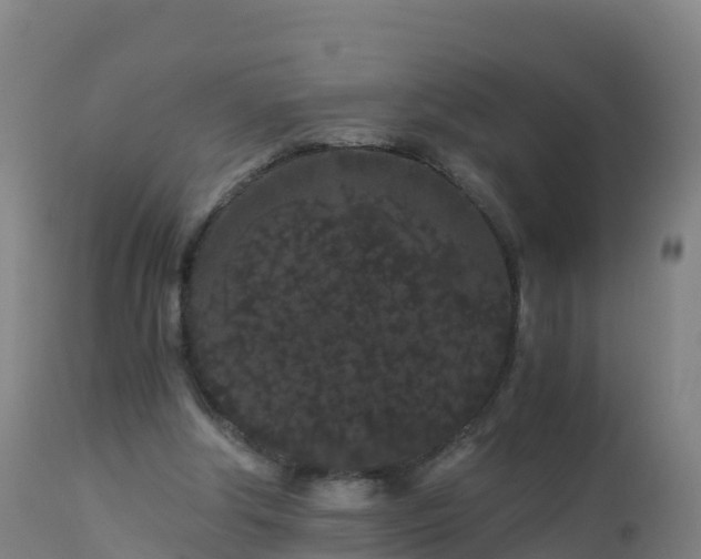 X0000112900202200908281734