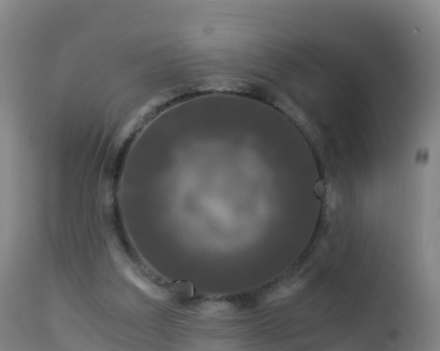 X0000112900203200908281734