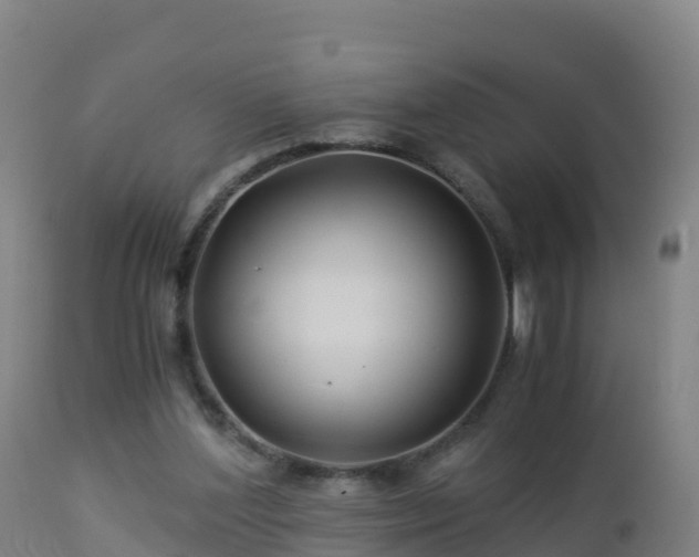 X0000112900204200908281733