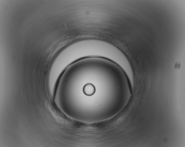 X0000112900205200908281733