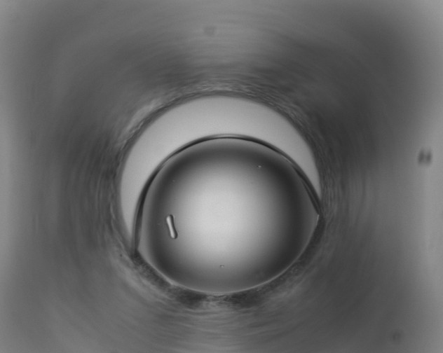 X0000112900207200908281733