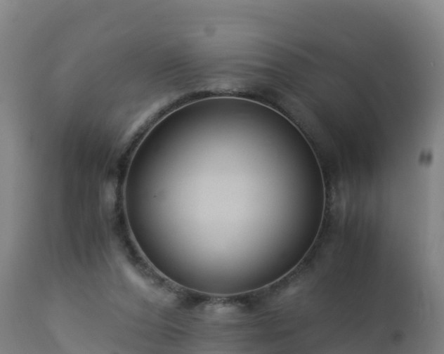 X0000112900208200908281733