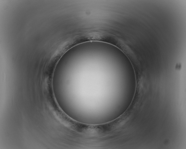 X0000112900209200908281733