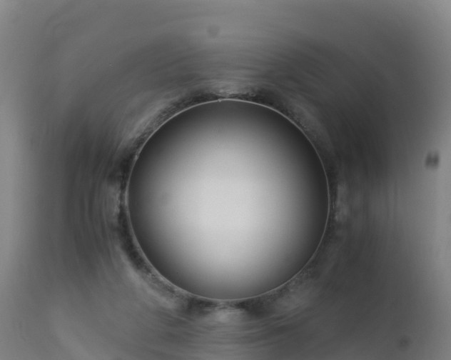 X0000112900210200908281733