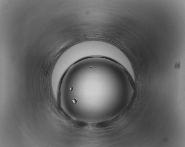 X0000112900211200908281733