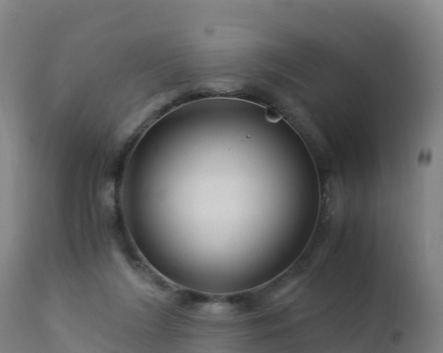 X0000112900212200908281733