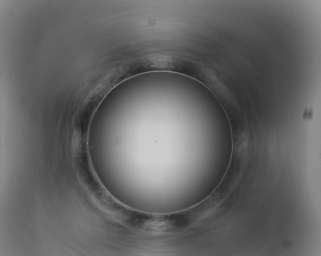 X0000112900213200908281733