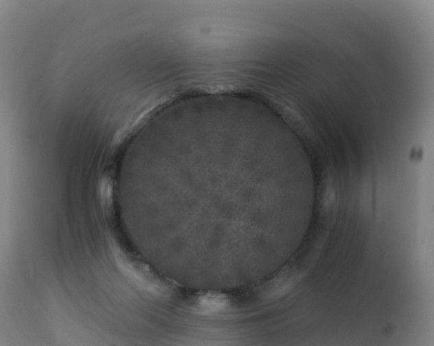 X0000112900214200908281733