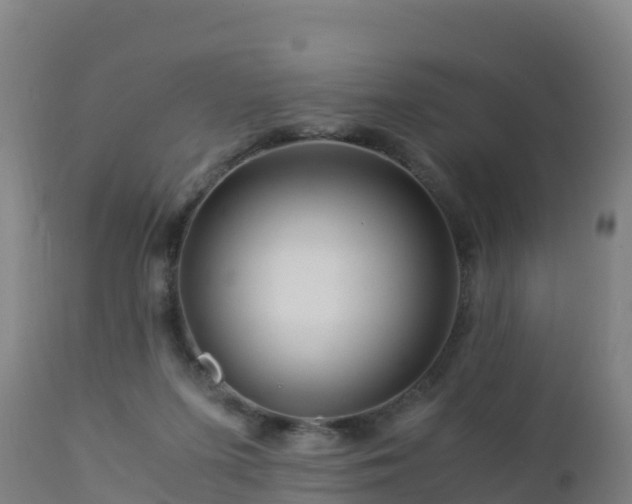 X0000112900215200908281733