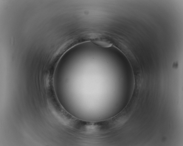 X0000112900216200908281733